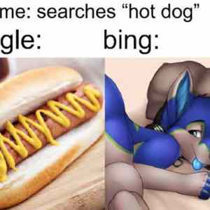 Obrázek 'stare me-searches-hot-dog-google-and-bing-different-results'