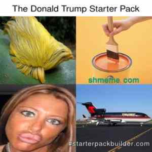 Obrázek 'starter pack trump'