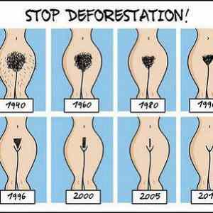 Obrázek 'stop deforestation'