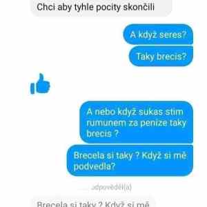 Obrázek 'taky brecim'