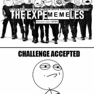 Obrázek 'the-expememeles-i-s-challenge-acc'