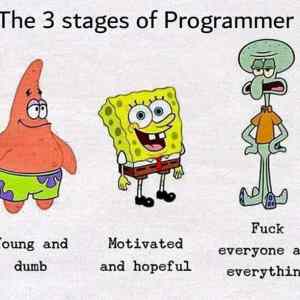 Obrázek 'the 3 stages of programmer'