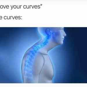 Obrázek 'the  curves'