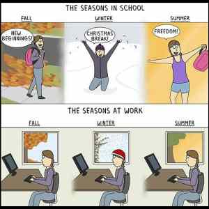 Obrázek 'the seasons. . . '