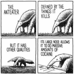 Obrázek 'the truth about the anteater'