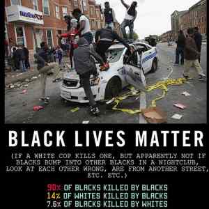 Obrázek 'the truth about the black lives matter movement'