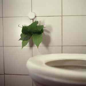 Obrázek 'toaletak pro zelene'