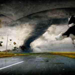 Obrázek 'tornado to je sila'