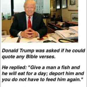 Obrázek 'trump-bible'