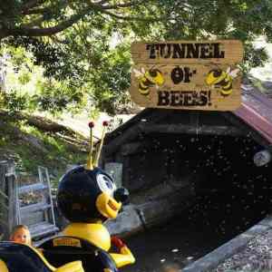 Obrázek 'tunnel of bees'