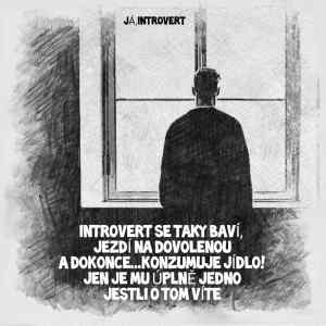 Obrázek 'united introverts'