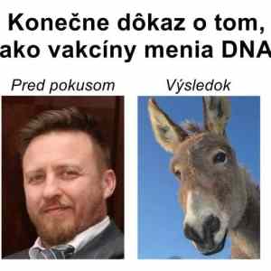 Obrázek 'vakcina meni dna'