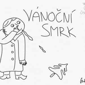 Obrázek 'vanocni smrk '