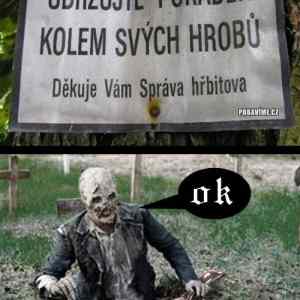 Obrázek 'vesely Halloween'