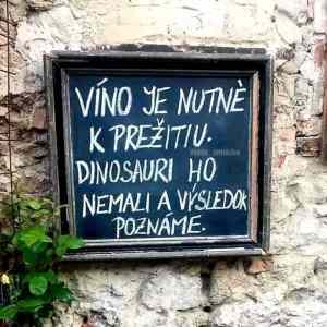 Obrázek 'vino je nutne'