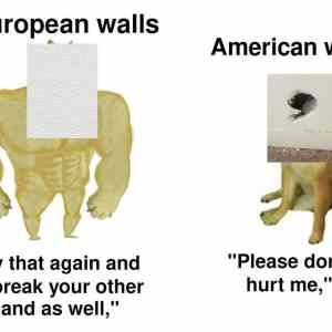 Obrázek 'walls in europe and us'