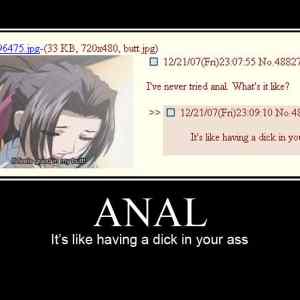 Obrázek 'what is anal like'