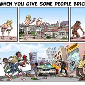 Obrázek 'when you give some people bricks'