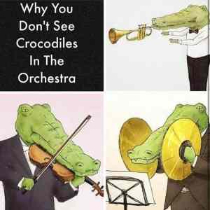 Obrázek 'why are there no crocodiles in the orchestra'