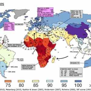 Obrázek 'world iq'