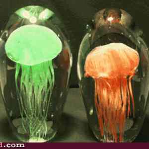 Obrázek 'xDead Jellyfish Lamps 15-03-2012'