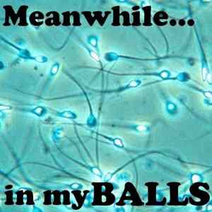 Obrázek 'xMeanwhile in my balls - 15-05-2012'