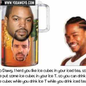 Obrázek 'xzibit-yo-dawg-i-heard-you-like-ice-cubes'