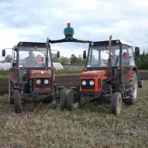 Obrázek 'zetor van damme'