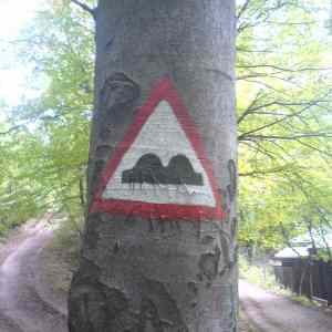 Obrázek 'znacka na strome'