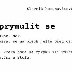 Obrázek 'zprymulit se'