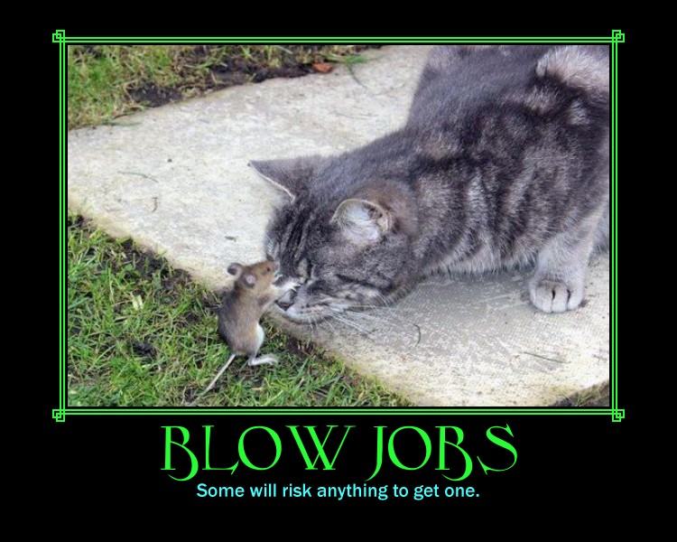 Obrázek -Blow jobs-      12.08.2012