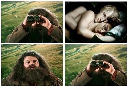 Obrázek -Hagrid-      02.10.2012
