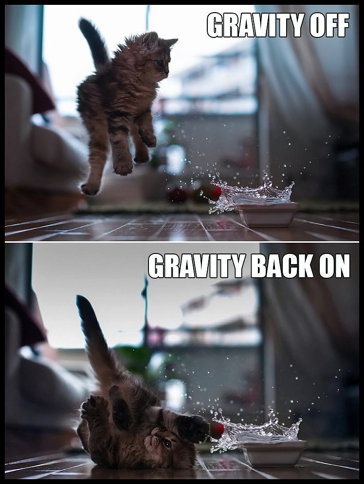 Obrázek - Gravity -      21.05.2013