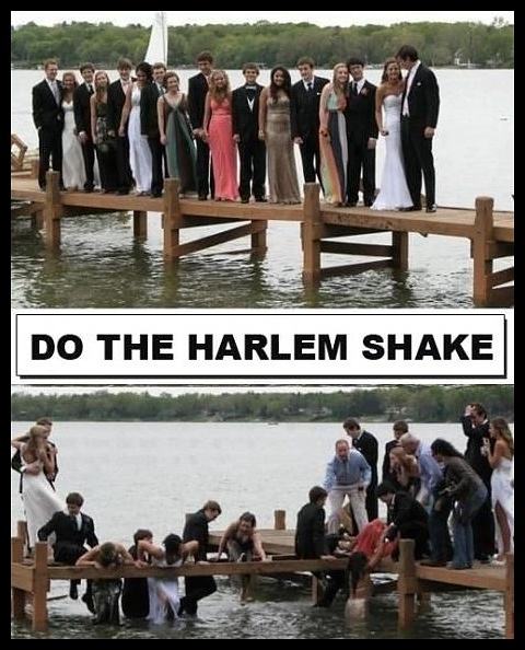 Obrázek - Harlem Shake -      07.03.2013