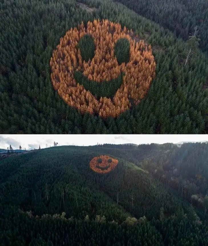 Obrázek - Oregon smiley -