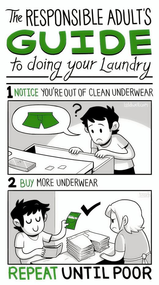 Obrázek - The responsible adults guide to doing your laundry -      25.12.2012