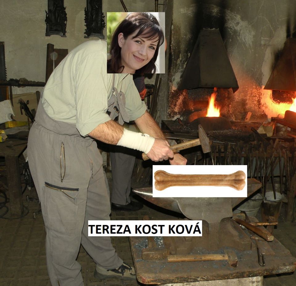 Obrázek - tereza -