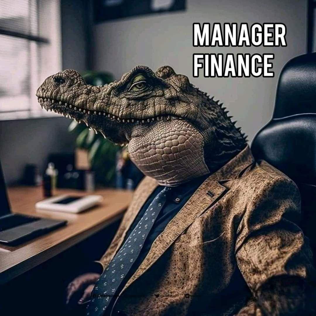 Obrázek 05 manager finance