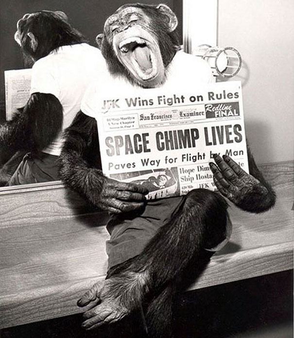 Obrázek 1961 Space Chimp