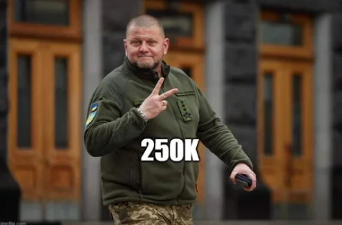 Obrázek 250k