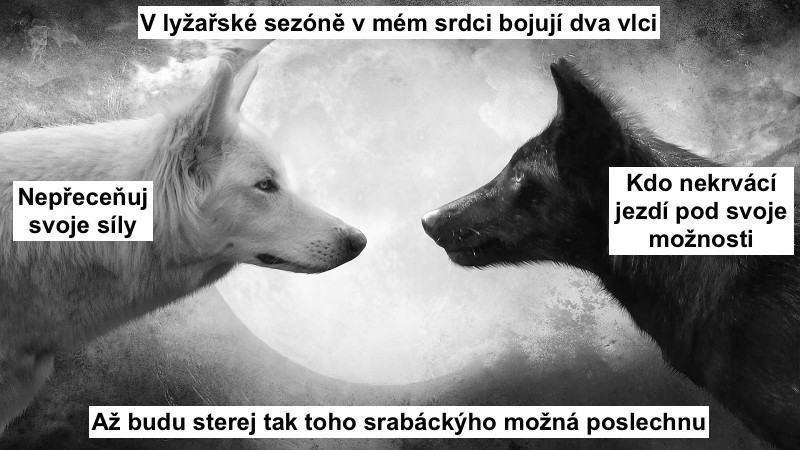 Obrázek 2 wolves