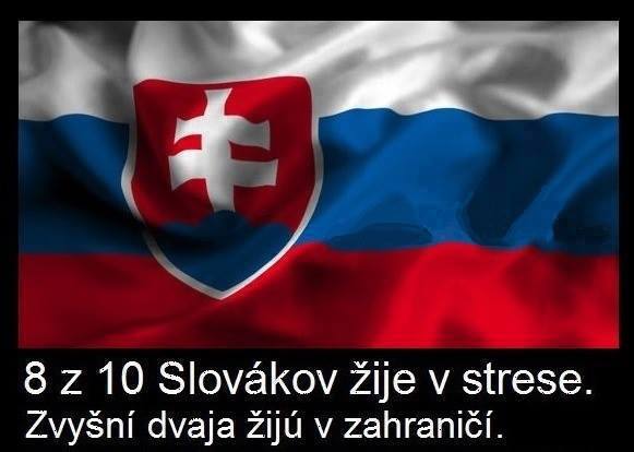 Obrázek 8 z 10 slovakov