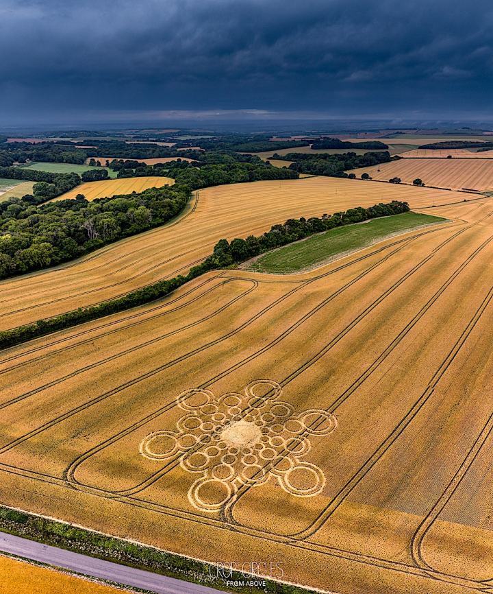 Obrázek 9th of July 2023 at Lane End Down near Beauworth Hampshire UK