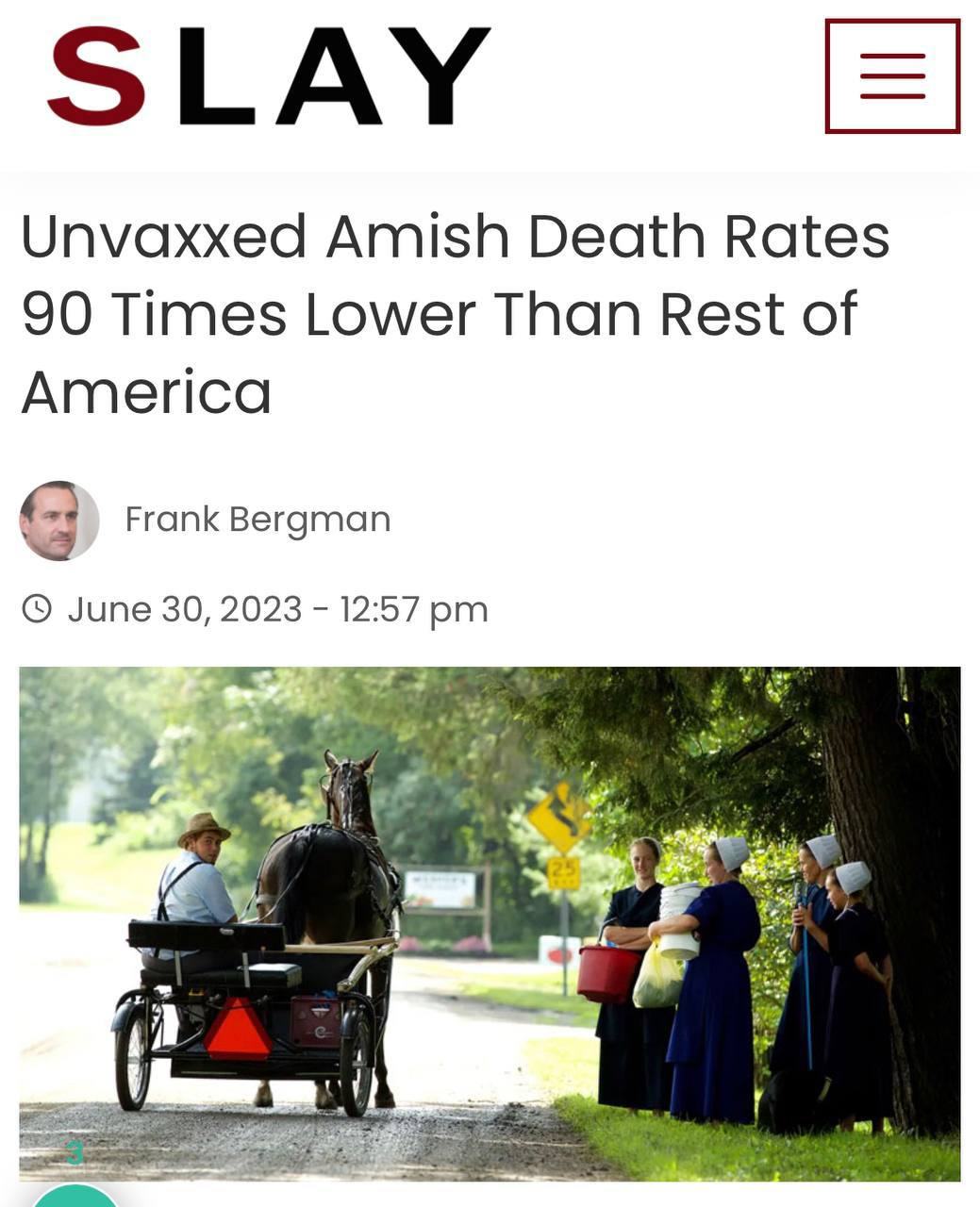 Obrázek Amish paradise 2023