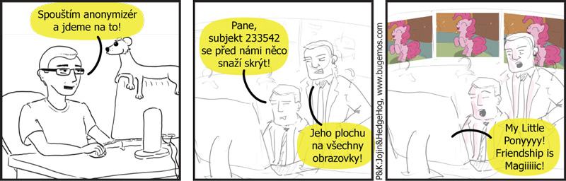 Obrázek Anonymizer 2