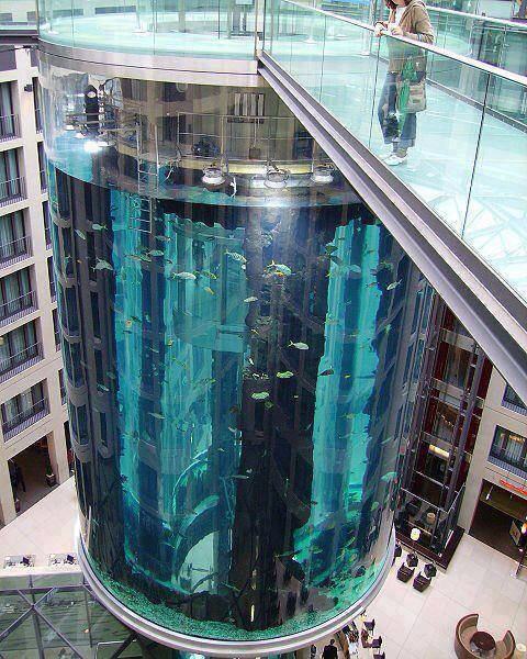 Obrázek Aquarium elevator