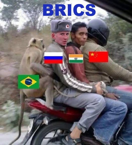 Obrázek BRICS on one picture