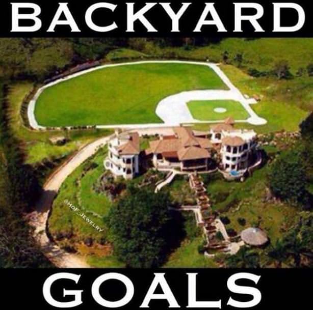 Obrázek Backyard Goals    