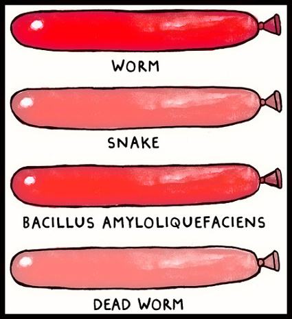 Obrázek Balloon animals for absolute beginners