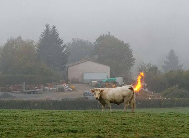 Obrázek Balrogcow